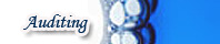Auditor�as