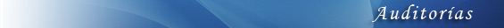 Auditor�as